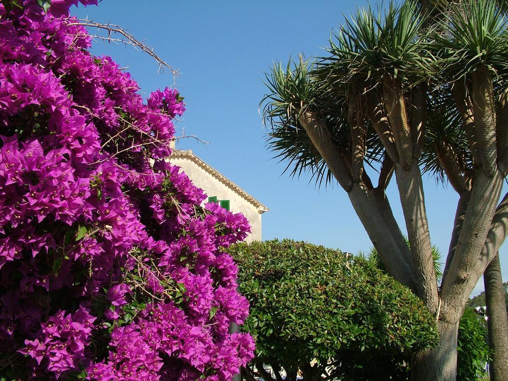 Monnaber Vell Hotel Campanet Exterior photo